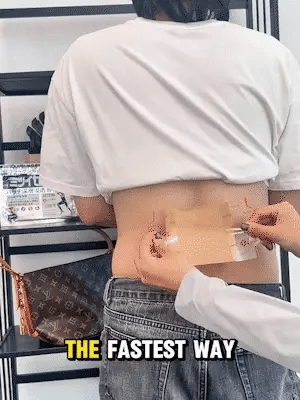 Japanese Pain Relief Patches