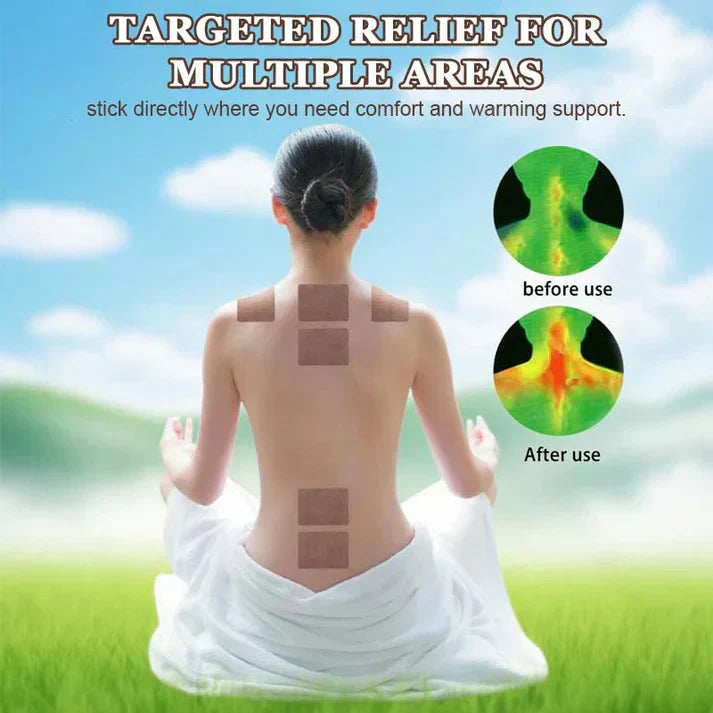 Japanese Pain Relief Patches