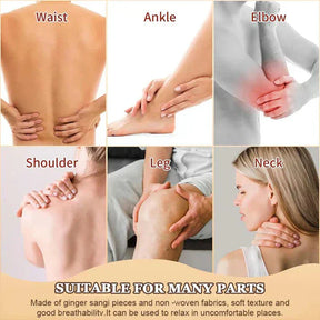 Japanese Pain Relief Patches
